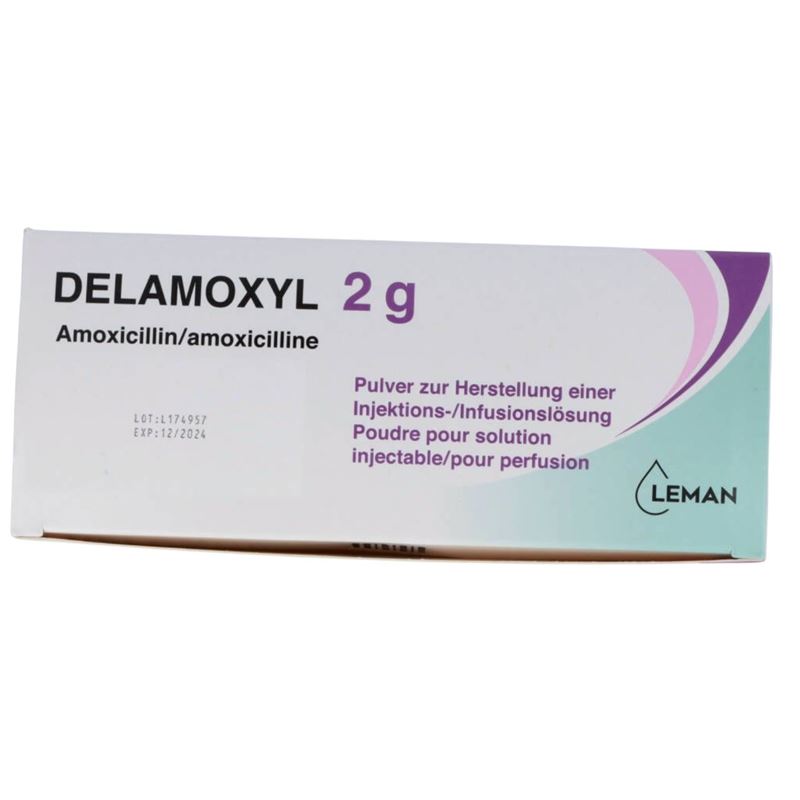DELAMOXYL Trockensub 2 g Durchstf 10 Stk
